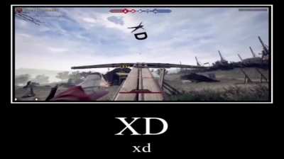xd
