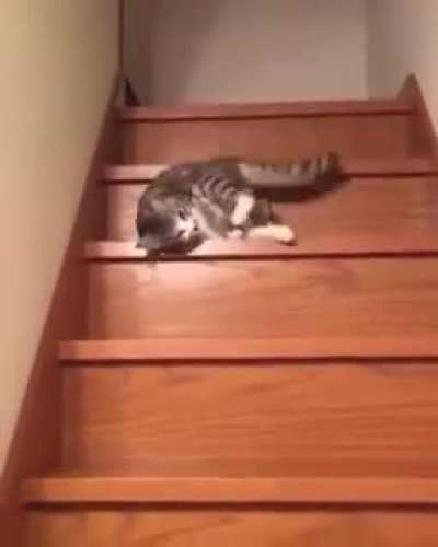 This is me every morning dragging myself out the house to go to work! 😅