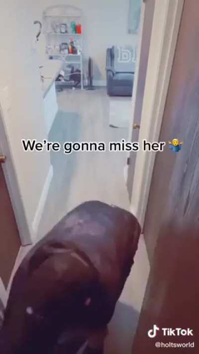 Crosspost from r/HolUp