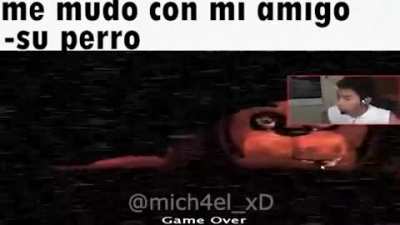 Xd