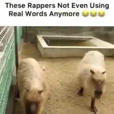 Fr bro