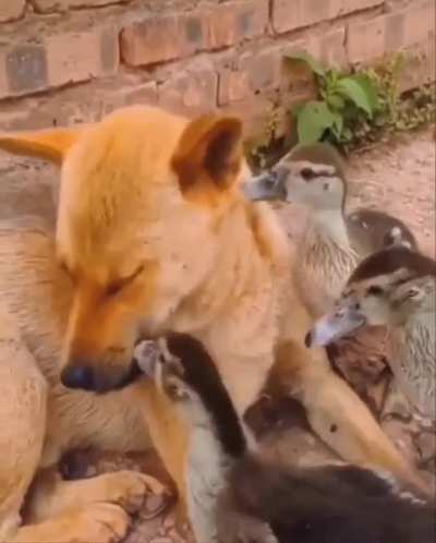 Excuse me? I'm not a food