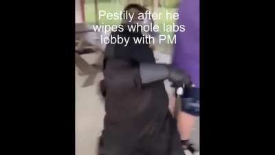 Pestily be like