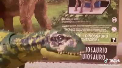 64 Million BC