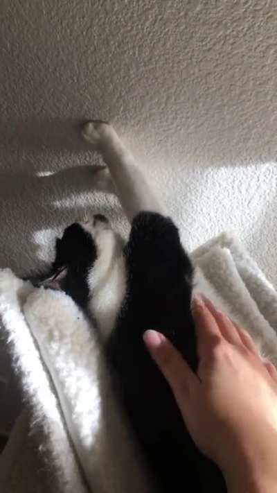 Stretch time