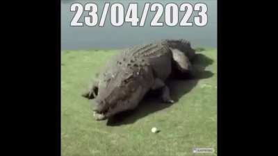 !remindme 23/04/2023