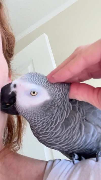 Morning scritches