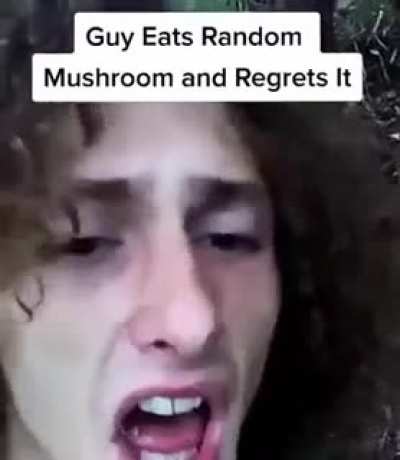 The last bite