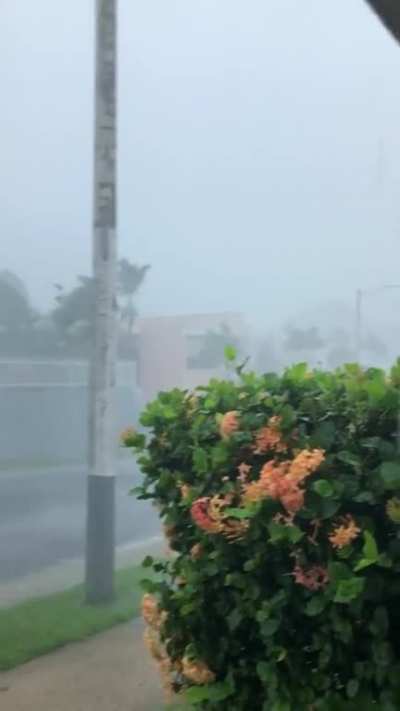 Isaías en Mayaguez