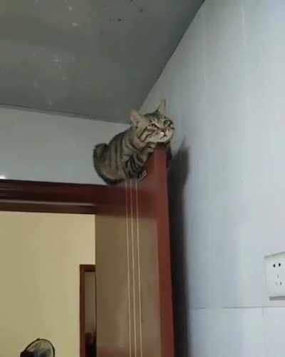 The best place in the house to sleep
