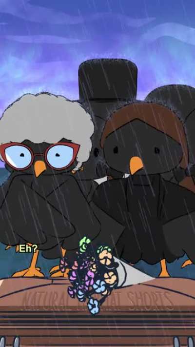 Spooky fact: A group of crows is called a murder, and they are known to hold “funerals” for other fallen corvids🐧⚰️👻
