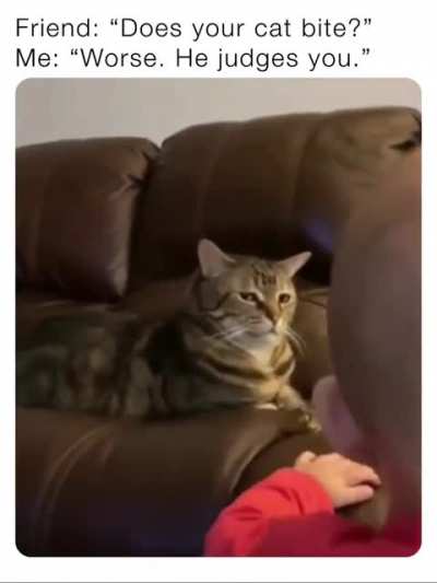 He really does