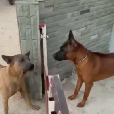 -Come out -Come in
