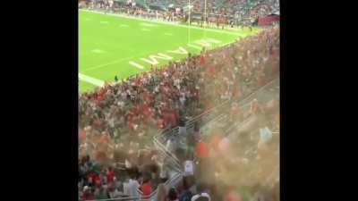 When the fans catch a falling cat, in an American flag, and then hold it up to cheers like Simba