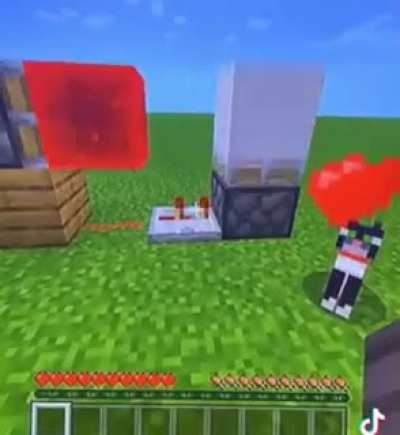 Poor cat