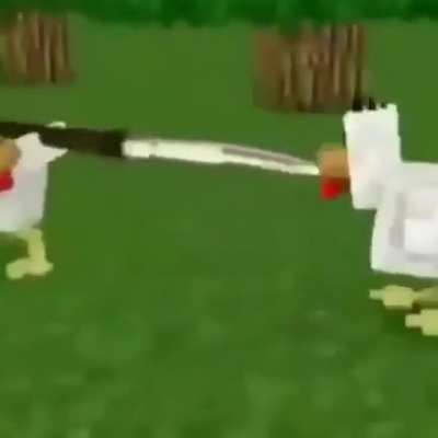 Rinha de galo