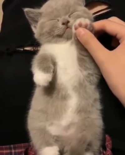 Squish squish.