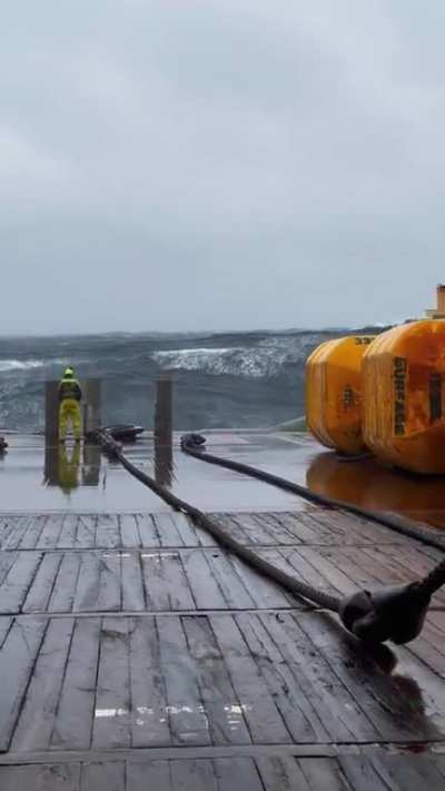 Big waves in the open ocean. From @brandal.2 on Tiktok.