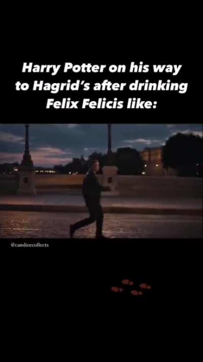 Harry high on Felix is a mood 🕺