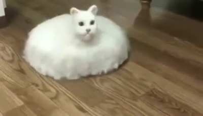 0.o