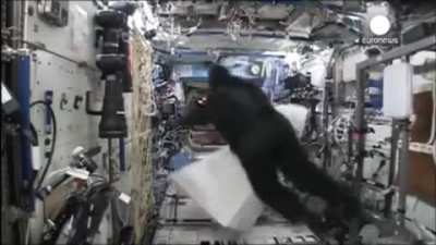 Just a scientist in a gorilla suit chasing another scientist in a billion dollar orbital lab