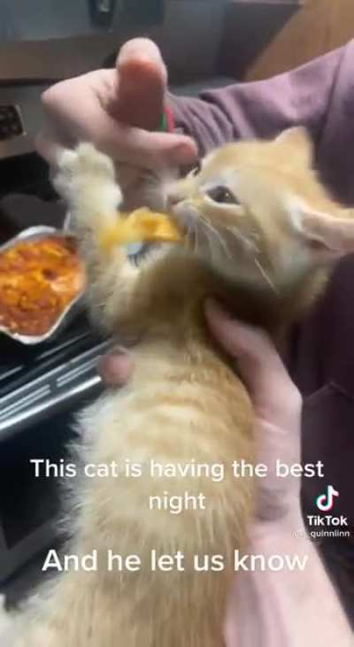 Garfields origin story