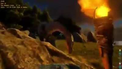 Ark