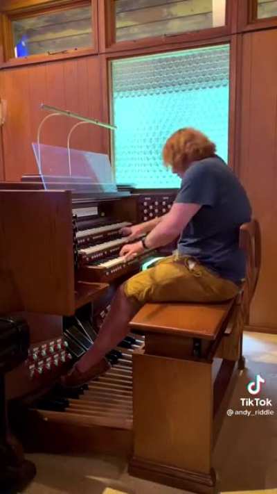 Biggest organ