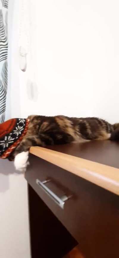 Fuck my life 😾