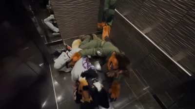 Furry🛏️irl