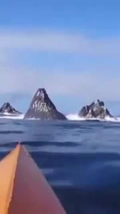Being surprised by a group of whales is the best kind of surprise