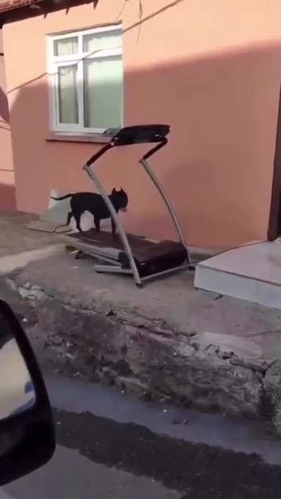 💪🐺