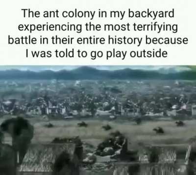 Go ants 