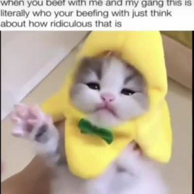 ridiculous 