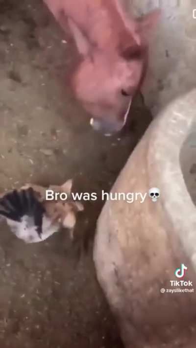 My man was starved