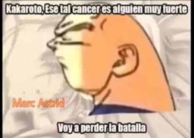 :'v