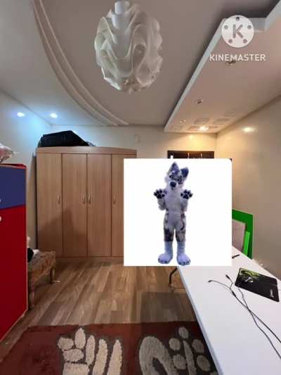 FURRY!?