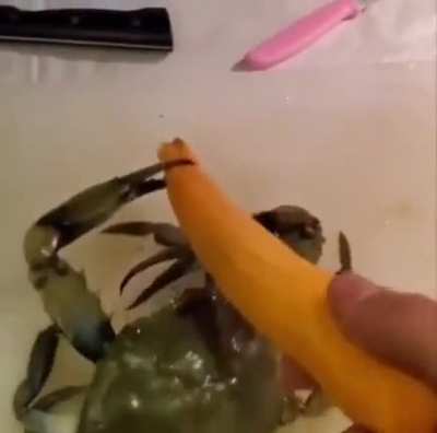 Perfectly cut knife chop