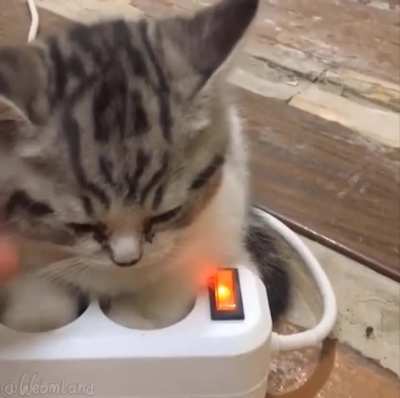 Kitty 2.0 has the new fast charging port