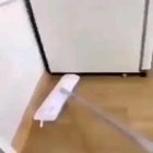 Sudden rat is sudden