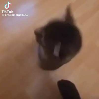 Why did he do that
