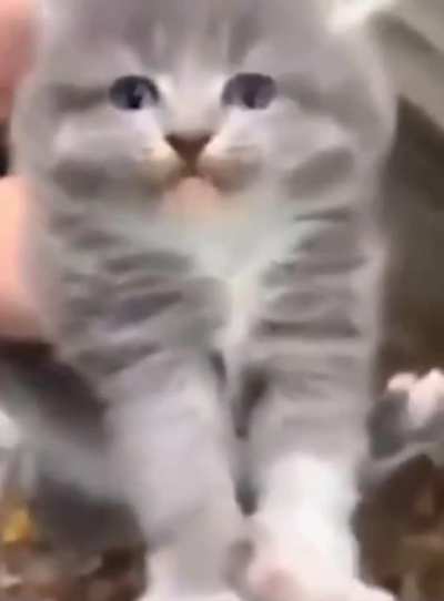 I love this video