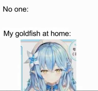 Goldfish be like: