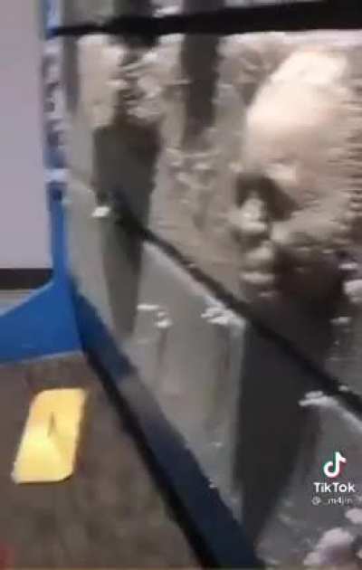 This kid shit his pants