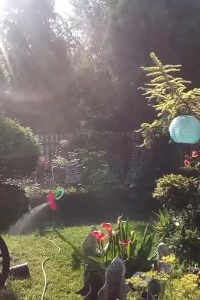 This Sprinkler