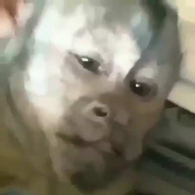 La mama del César cuando se la ponen