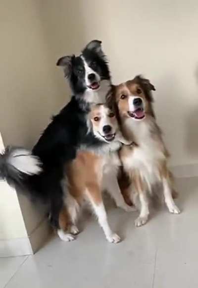 One in this pose.. and this.. and this