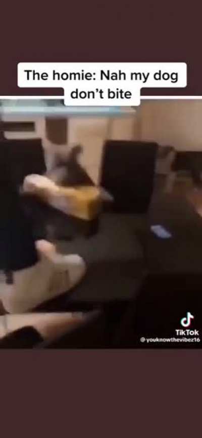 Leo finna be on niggas asses