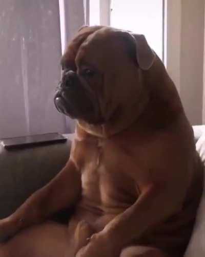 “Seriously man, why are we still watching this?”