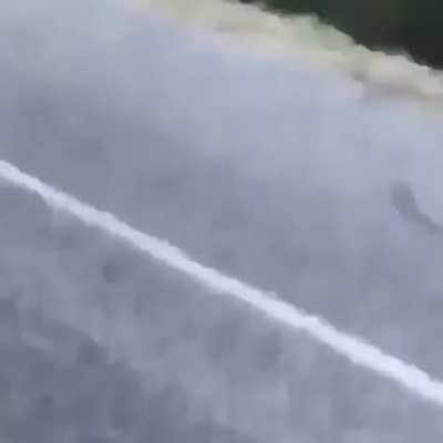 Yeet on back from once you came!